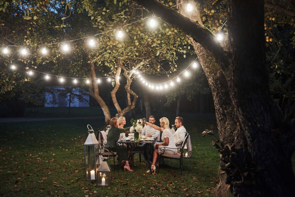 Outdoor Dinner Party